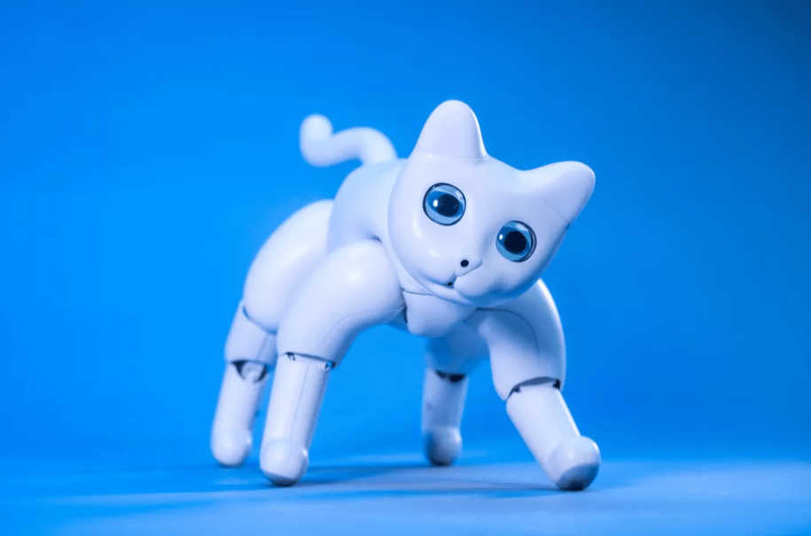 FireShot Capture 227 – There’s a robot cat you can back on Kickstarter – The Verge_ – www.theverge.com eCommerce Support Company - Blog