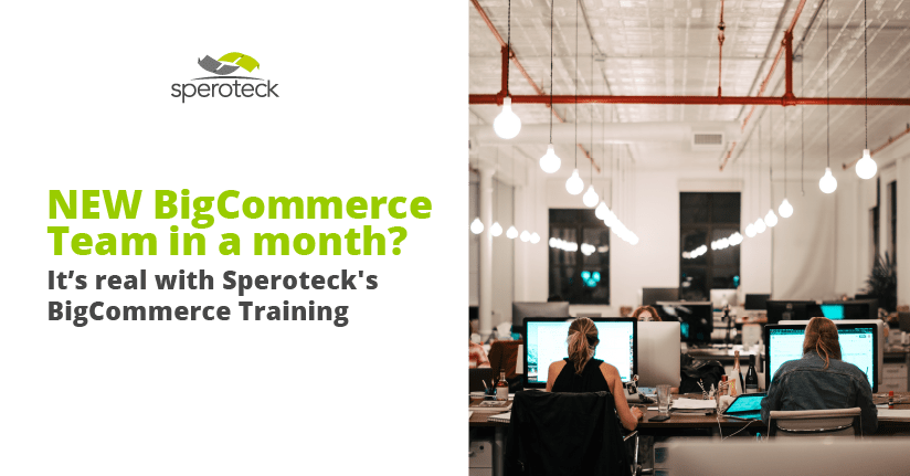 new bigCommerce-blog eCommerce Support Company - Blog