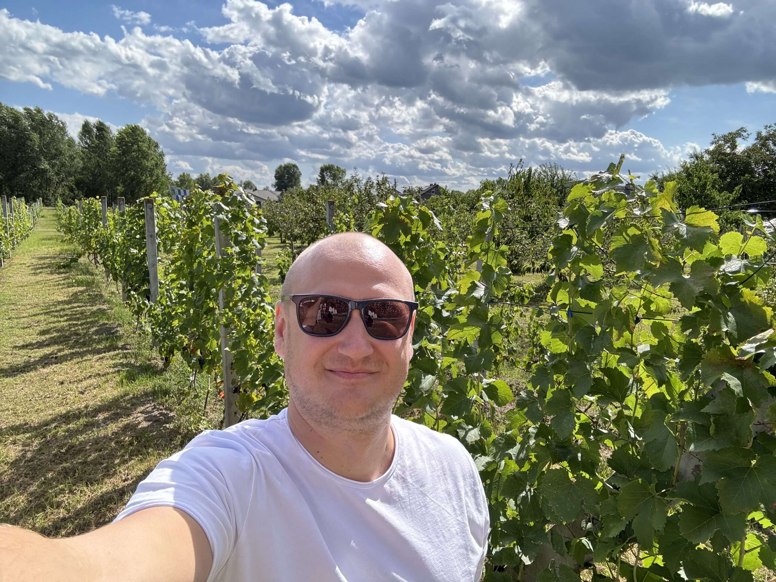 eCommerce Support Company - Blog